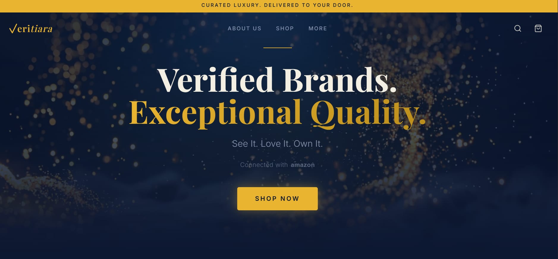 The Veritiara website's home page, designed and built by Foldscapes